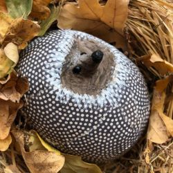 Papiermaché_Igel