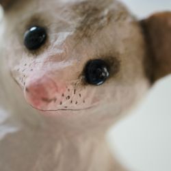 Papiermaché_Opossum2