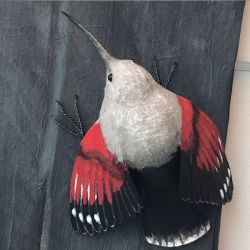 Papiermaché_Mauerlaeufer