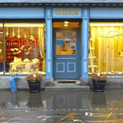 Papiermaché_Laden_Opossum